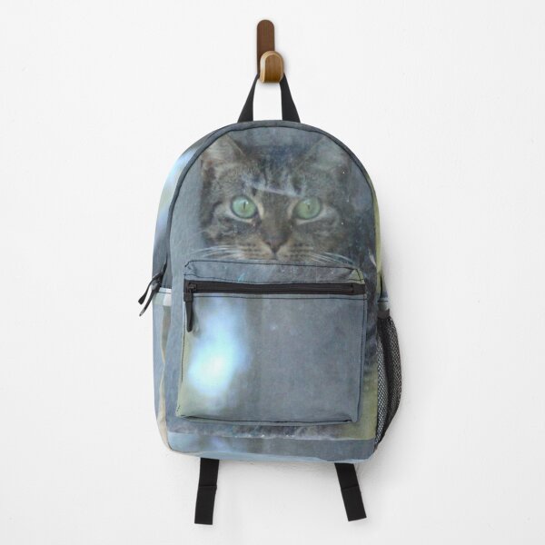 Item preview, Cat behind a glass pane designed and sold by Anna Lemos.