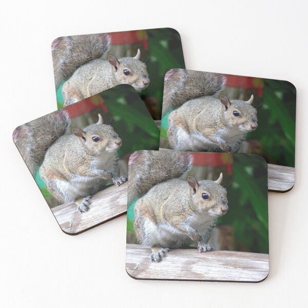 Item preview, Curious Squirrel designed and sold by Monika's Shop.