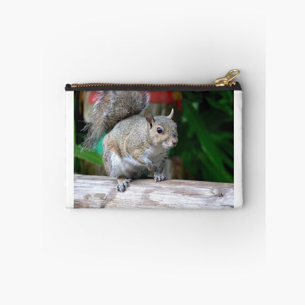 Item preview, Curious Squirrel designed and sold by Monika's Shop.
