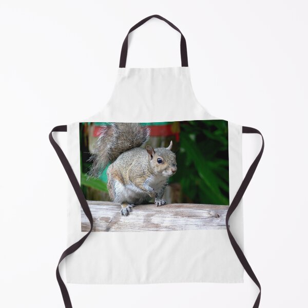 Item preview, Curious Squirrel designed and sold by Monika's Shop.