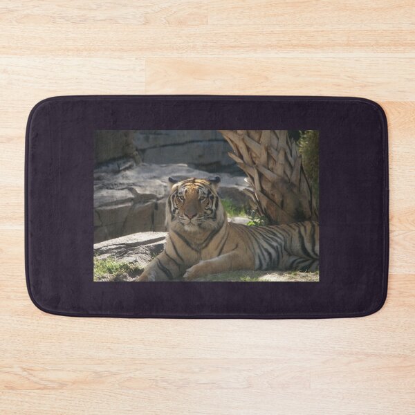 Item preview, Tiger at Busch Gardens, Tampa, FL designed and sold by Monika's Shop.