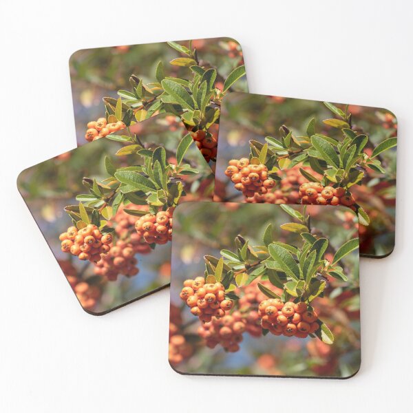 Item preview, The Beautiful Orange Berries of the Lalandei Scarlet Firethorn designed and sold by MomentofPercep.
