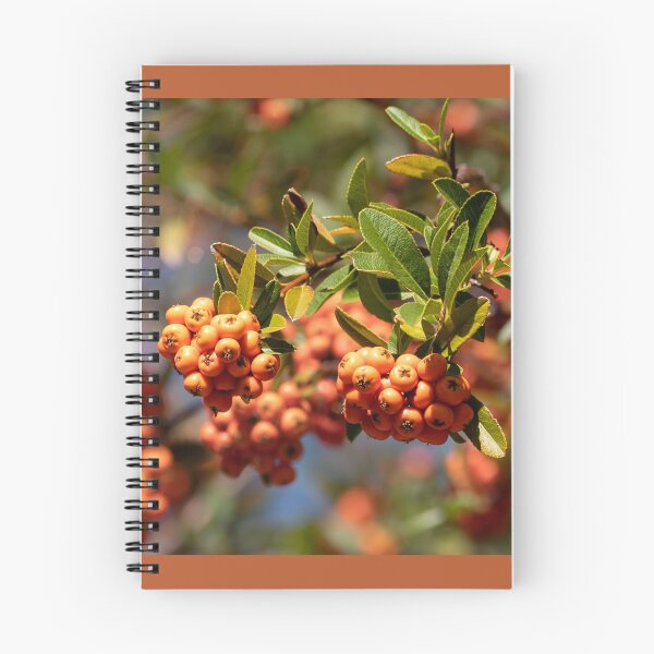 Item preview, The Beautiful Orange Berries of the Lalandei Scarlet Firethorn designed and sold by MomentofPercep.