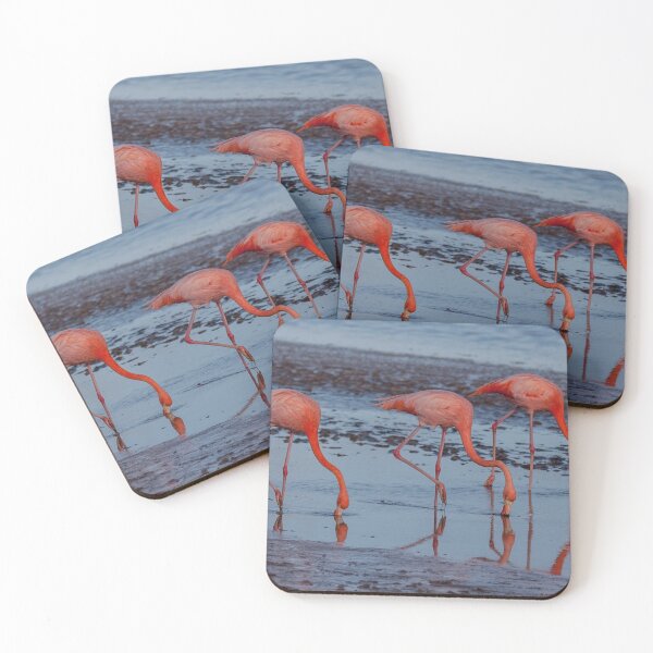 Item preview, Flamencos designed and sold by Withns.