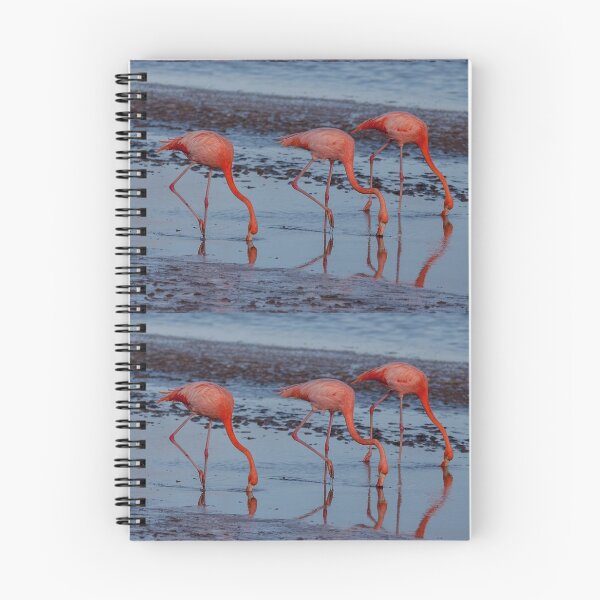 Aperçu de l'œuvre Flamants roses créée et vendue par Withns.