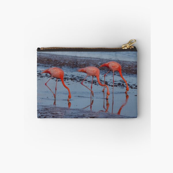 Artikelvorschau, Flamingos entworfen und verkauft von Withns.