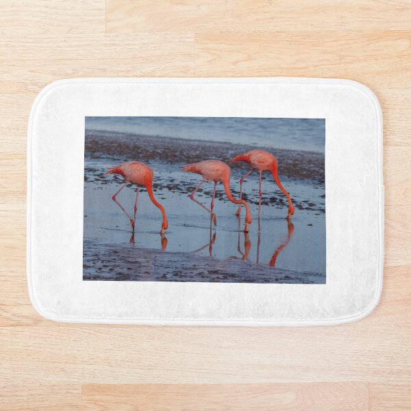 Artikelvorschau, Flamingos entworfen und verkauft von Withns.