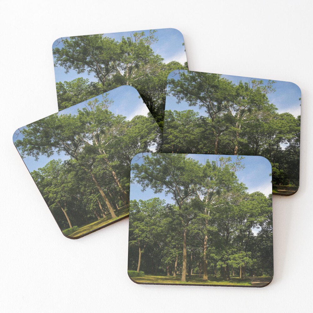 Item preview, Coasters (Set of 4) designed and sold by Braniff4ever.