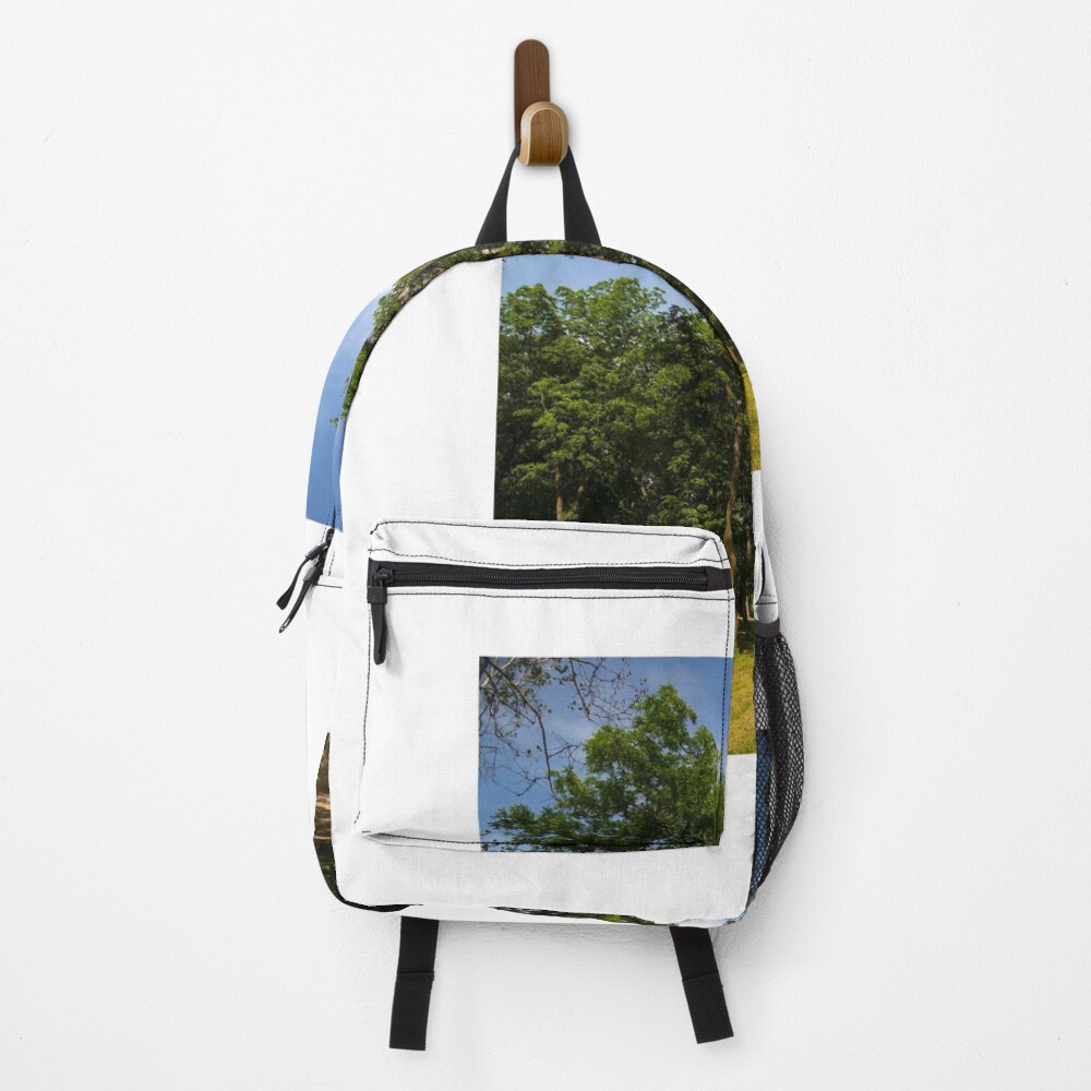 Item preview, Backpack designed and sold by Braniff4ever.