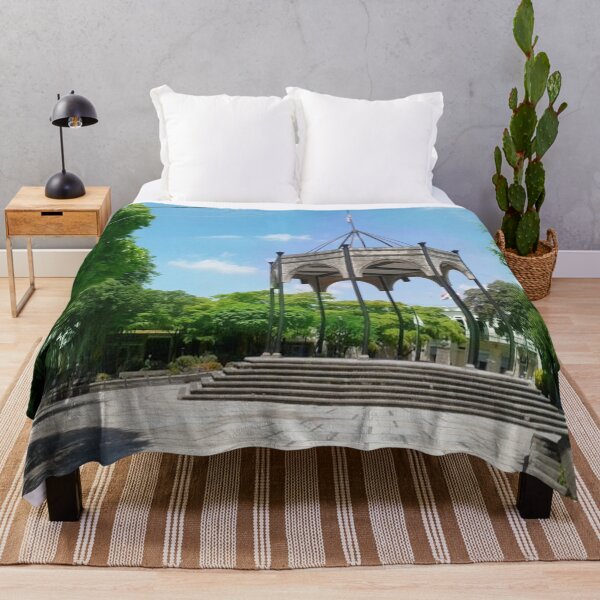 Item preview, Roundabout in a Park - La Vega designed and sold by gloriasd14.