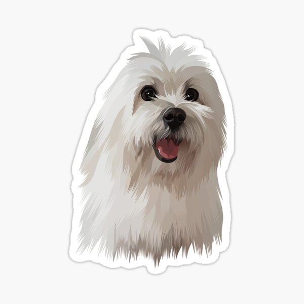 2 x Heart Stickers 15 cm Maltese Puppy White Dog Pet  #43175 BW 