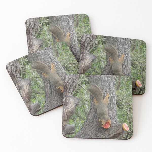 Item preview, Eastern Fox Squirrel (Sciurus niger) Enjoying Grapefruit designed and sold by Inuyasha907.