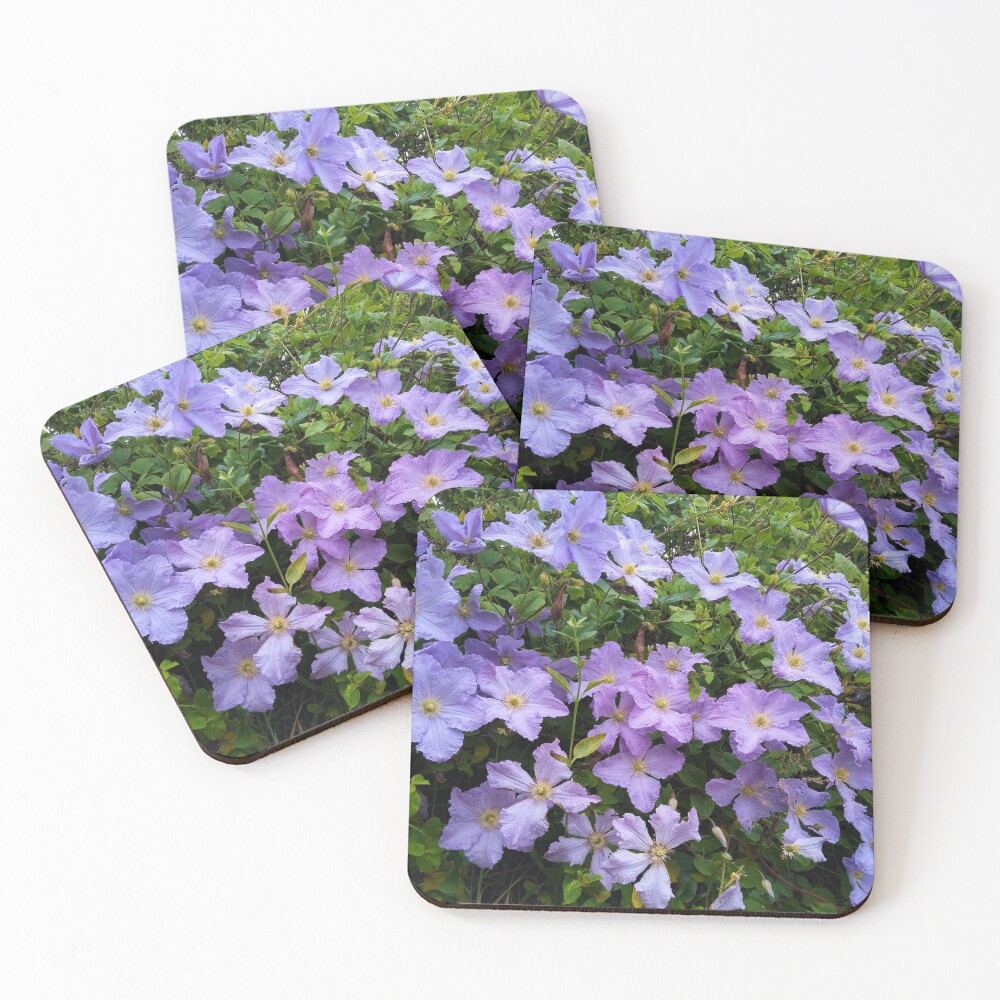 Item preview, Coasters (Set of 4) designed and sold by DebbieThompson.