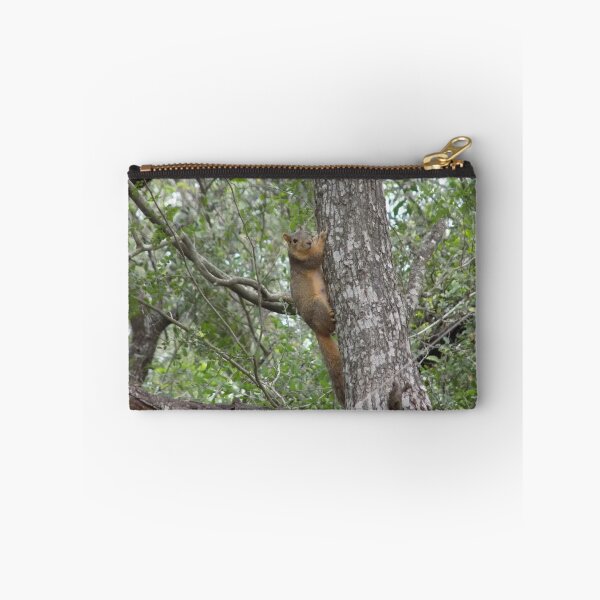 Item preview, Eastern Fox Squirrel (Sciurus niger) Peeking on a Tree designed and sold by Inuyasha907.