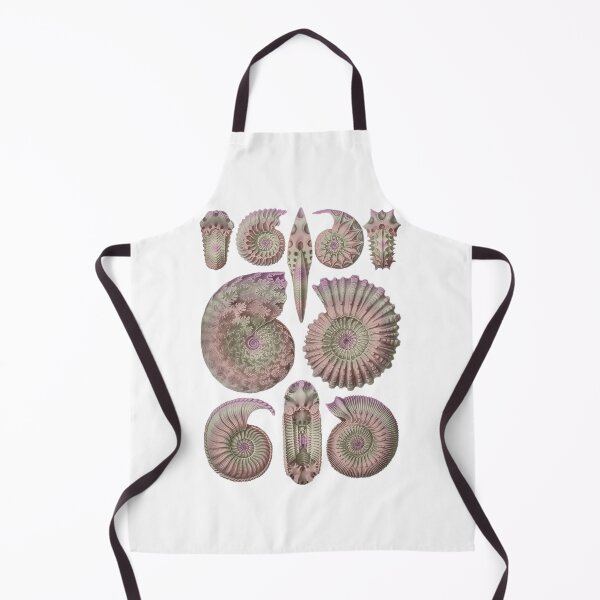 Item preview, Ernst Haeckel Ammonitida Ammonite Ammolite designed and sold by aimeewilson.