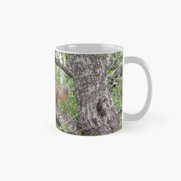 Item preview, Eastern Fox Squirrel (Sciurus niger) on a Branch designed and sold by Inuyasha907.