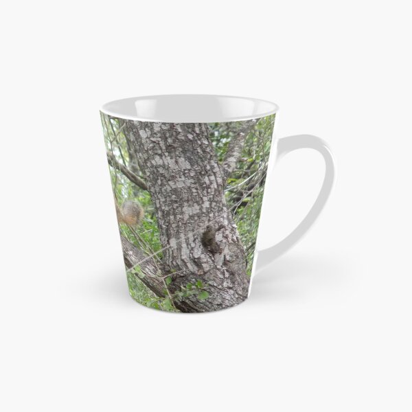 Item preview, Eastern Fox Squirrel (Sciurus niger) en una rama designed and sold by Inuyasha907.