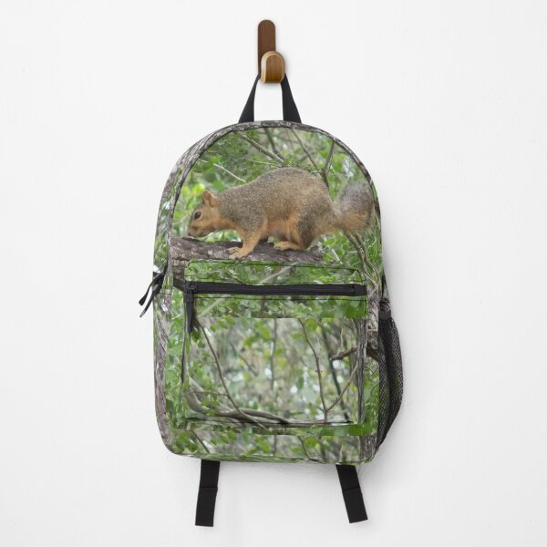 Item preview, Eastern Fox Squirrel (Sciurus niger) on a Branch designed and sold by Inuyasha907.