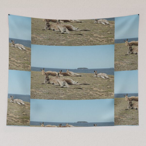 Item preview, Signal Hill,NSW,Australia 2016-Kangaroos & islands designed and sold by muz2142.