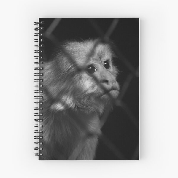 Item preview, little monkey shirt designed and sold by Panupong Khammin.