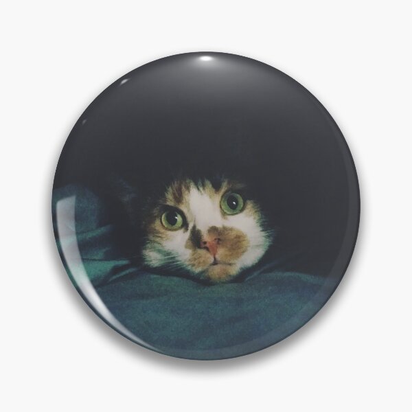 Artikelvorschau, Undercover-Kitty entworfen und verkauft von LncolnsUndrwatr.