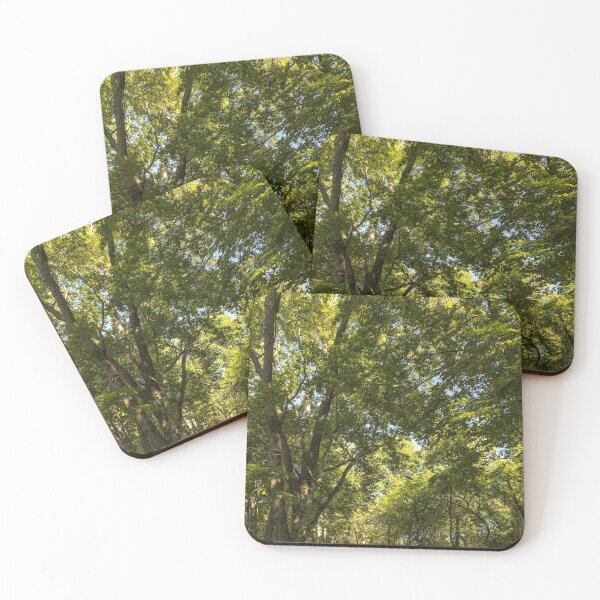 Item preview, August in a woodland cathedral designed and sold by Joel Bader.