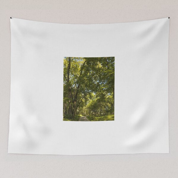 Item preview, August in a woodland cathedral designed and sold by Joel Bader.