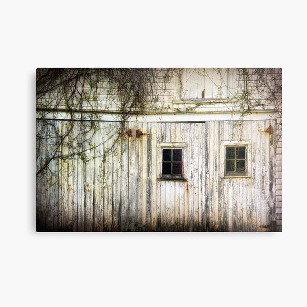 Rural Windows Metal Print