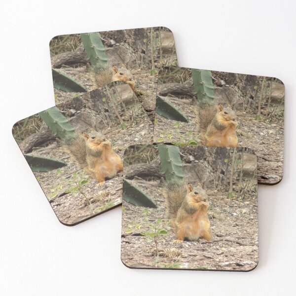 Item preview, Eastern Fox Squirrel (Sciurus niger) Sitting Up designed and sold by Inuyasha907.