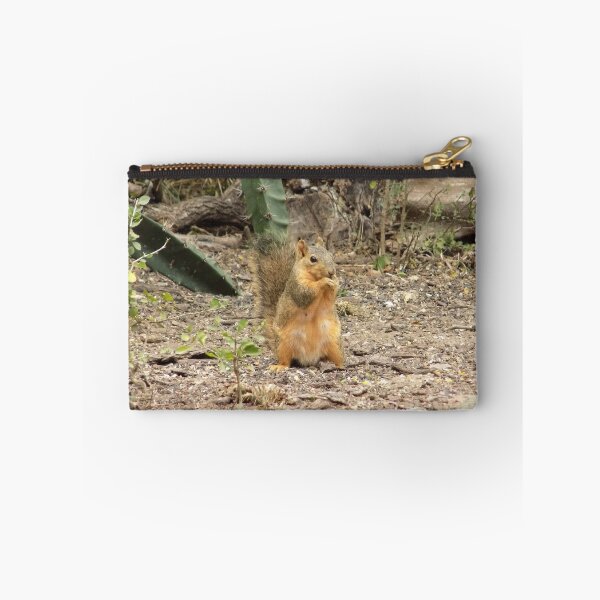 Item preview, Eastern Fox Squirrel (Sciurus niger) Sitting Up designed and sold by Inuyasha907.