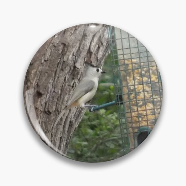 Item preview, Black-crested Titmouse (Baeolophus atricristatus ) at a Feeder designed and sold by Inuyasha907.