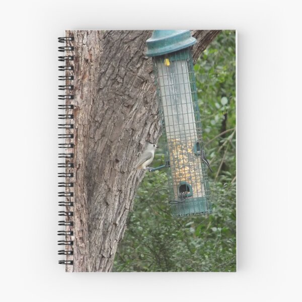 Item preview, Black-crested Titmouse (Baeolophus atricristatus ) at a Feeder designed and sold by Inuyasha907.