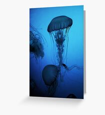 Portrait of a Jellyfish- Blue Greeting Card