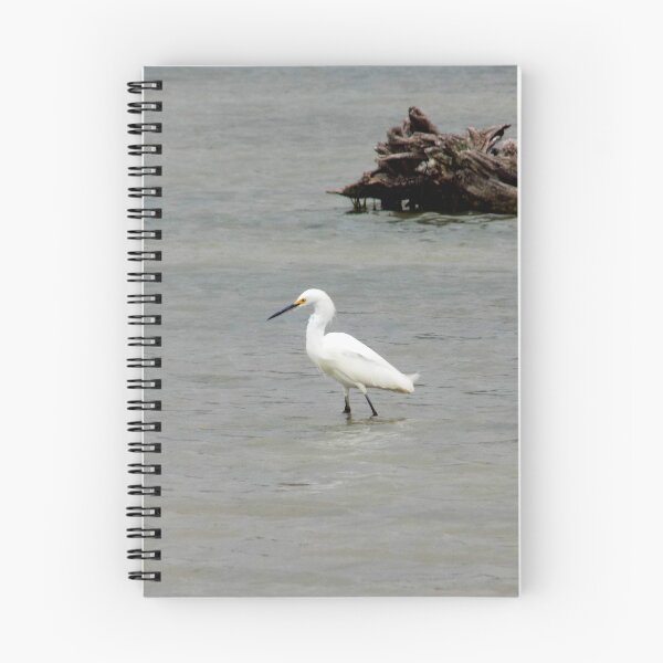 Item preview, Snowy Egret (Egretta thula) Foraging in a Shallow Lake designed and sold by Inuyasha907.