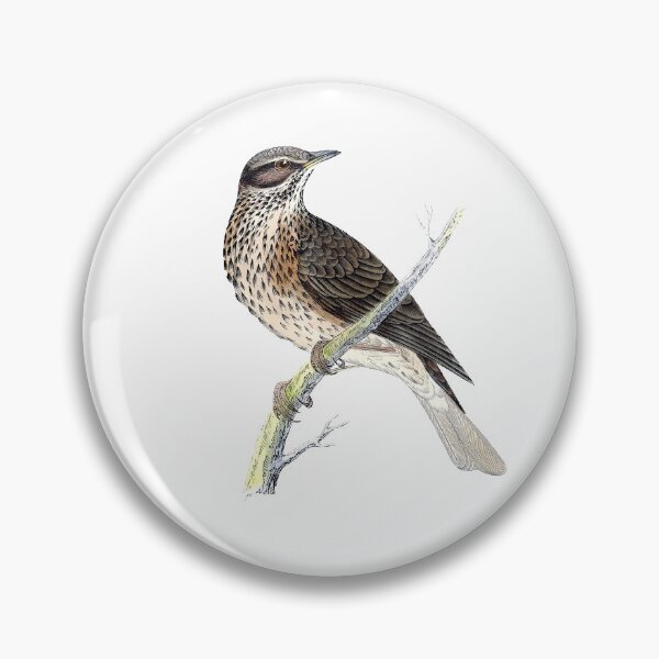 Item preview, Antique Bird Print / Redwing designed and sold by FuzzyHoney.