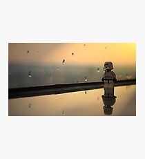 The rain droplets here are huge. Photographic Print
