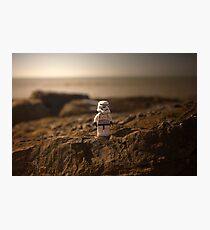 Newfoundland. Photographic Print