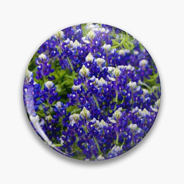 Item preview, Texas Bluebonnets designed and sold by aimeewilson.
