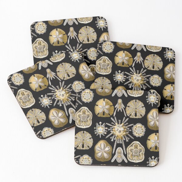 Item preview, Ernst Haeckel Echinidea Sea Urchin designed and sold by aimeewilson.