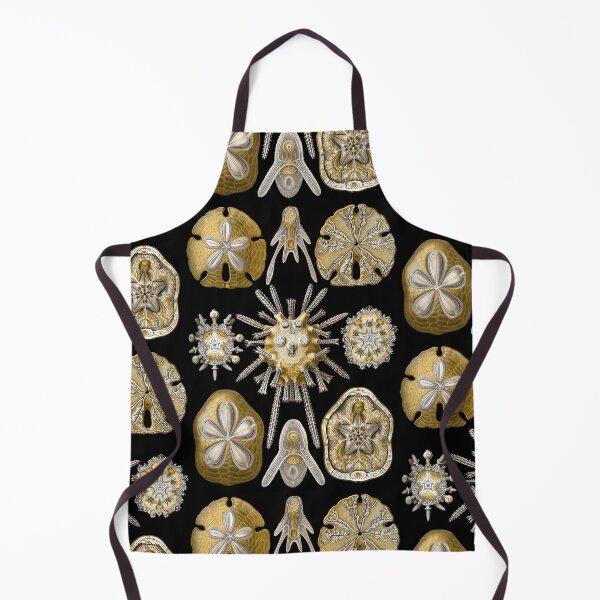 Item preview, Ernst Haeckel Echinidea Sea Urchin designed and sold by aimeewilson.