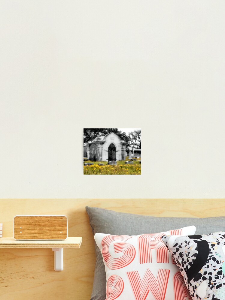 Thumbnail 2 of 3, Photographic Print, Crypt In Spring designed and sold by SuddenJim.