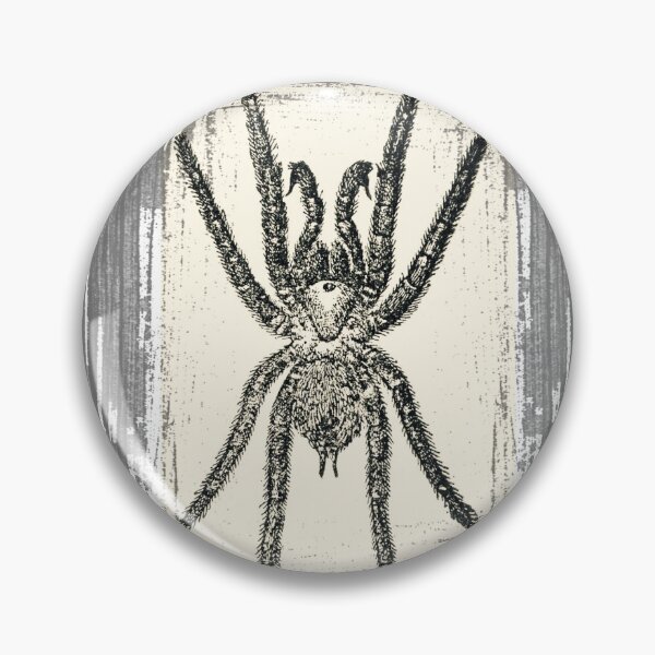 Item preview, Vintage Tarantula Spider Black White Sketch designed and sold by AZGuzmans.