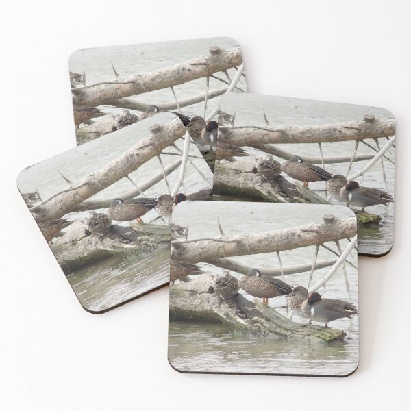 Item preview, Male & Female Blue-winged Teals (Anas discors) & Green-winged Teals (Anas carolinensis) on a log designed and sold by Inuyasha907.