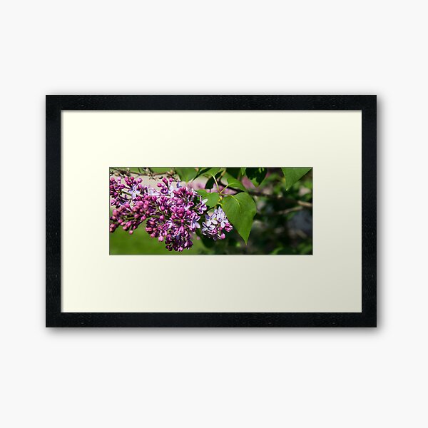 Item preview, I Love Lilacs designed and sold by Thomasyoung.