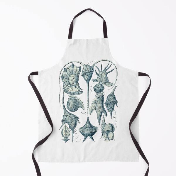 Item preview, Ernst Haeckel Peridinea Plankton designed and sold by aimeewilson.
