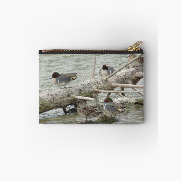 Item preview,  Green-winged Teals (Anas carolinensis) on a log designed and sold by Inuyasha907.