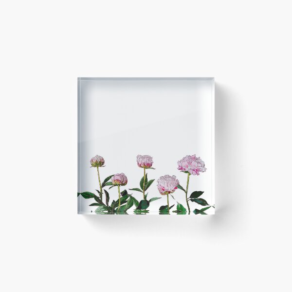 Peonies Acrylic Block