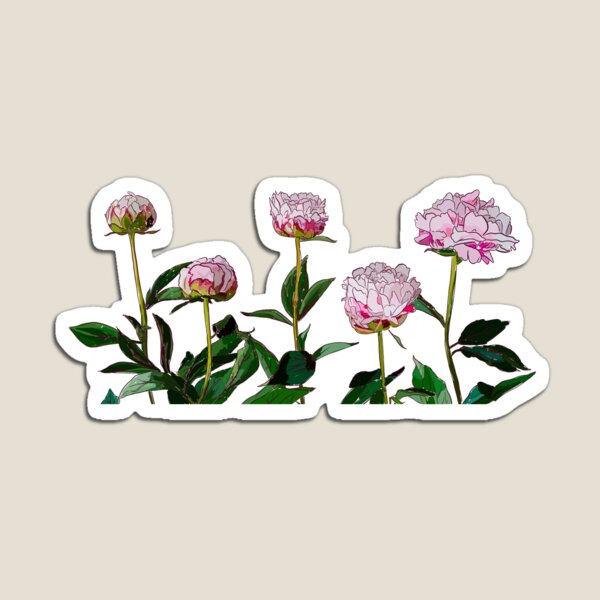 Peonies Magnet