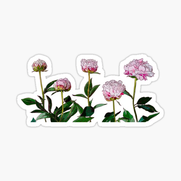 Peonies Sticker