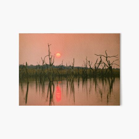 Lake Kariba Sunset, Zimbabwe Art Board Print
